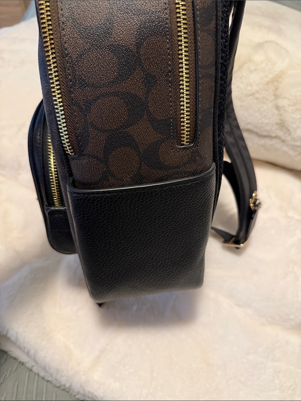 Coach Brown Signature Backpack with Black Leather Trim - Picture 5 of 14